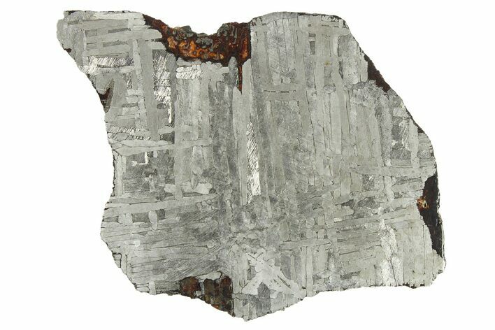 Etched Canyon Diablo Iron Meteorite Slice ( g) - Arizona #269603